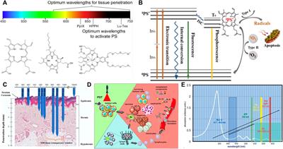 The application of photodynamic therapy in plastic and reconstructive surgery